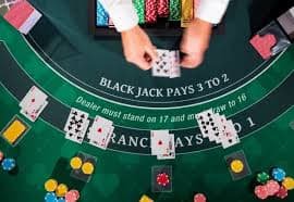 566bet